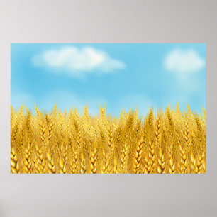 Affiche Champ de blé doré ciel bleu peinture à l'huile été