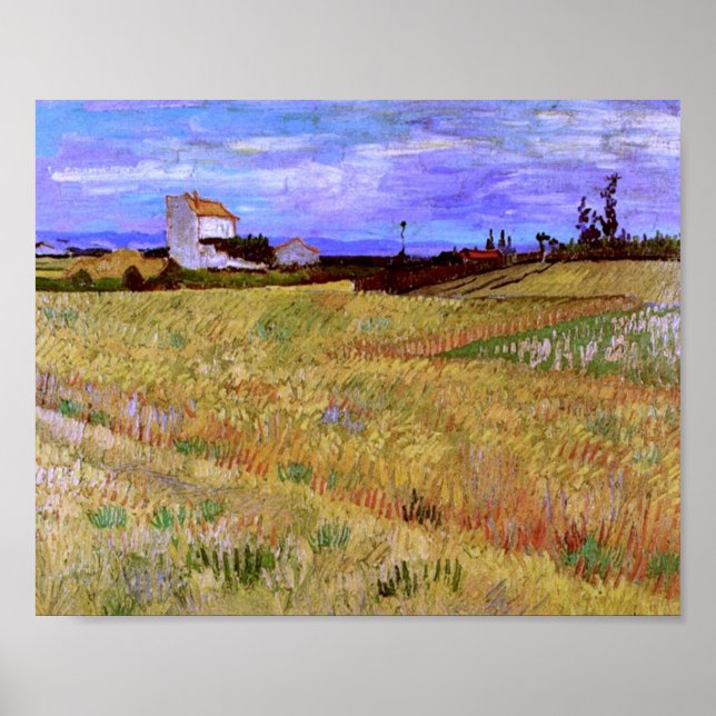 Affiche Champ de blé (F564) Van Gogh Fine Art (Devant)