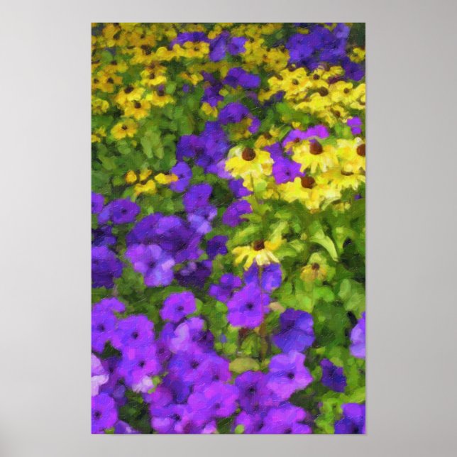 Affiche Champ de Couleurs (Devant)