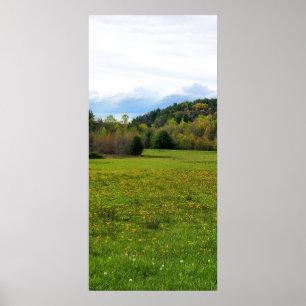 Affiche Champ de fleurs