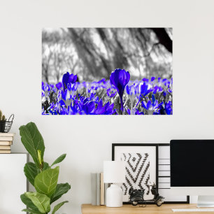 Affiche Champ de fleurs bleu