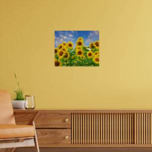 Affiche Champ de fleurs de tournesol