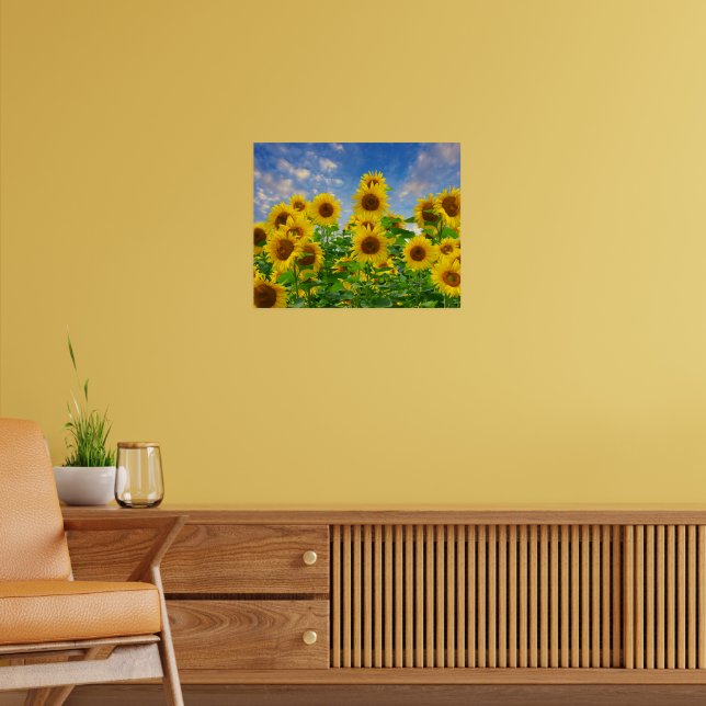 Affiche Champ de fleurs de tournesol (Salon 2)