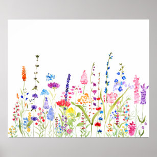 Affiche champ de fleurs sauvages coloré