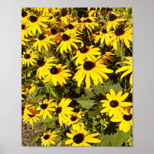 Affiche Champ de fleurs sauvages jaunes 