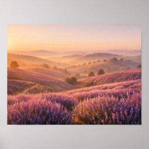 Affiche Champ de lavande au lever du soleil Collines ondoy