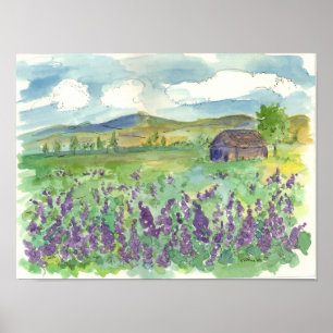 Affiche Champ de lupine violette de fleurs aquarelle prair