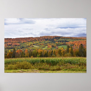 Affiche Champ de maïs du Vermont en automne