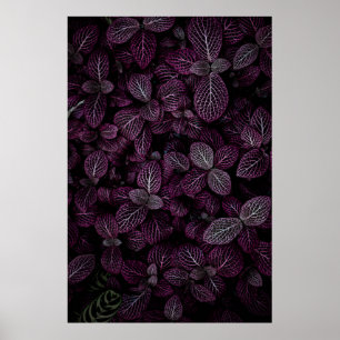 AFFICHE CHAMP DE PLANTE DE POURSUITE
