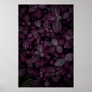 AFFICHE CHAMP DE PLANTE DE POURSUITE