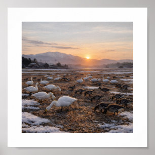 Affiche Champ d'hiver doré avec cygnes et oies – 
