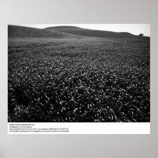 Affiche Champ d'orge à Montezuma Hills par Ansel Adams