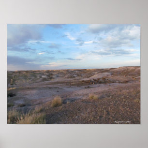 Affiche Champ forestier pétrifié