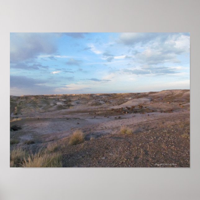 Affiche Champ forestier pétrifié (Devant)