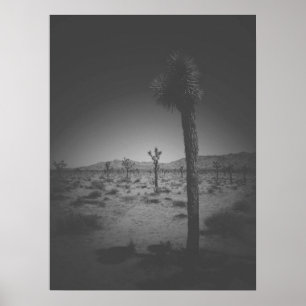 Affiche Champ noir et blanc cinématique des Joshua Trees