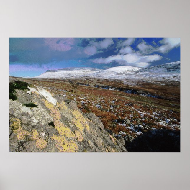 Affiche Champ rocheux (Devant)