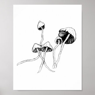 Affiche Champignon de Psilocybin