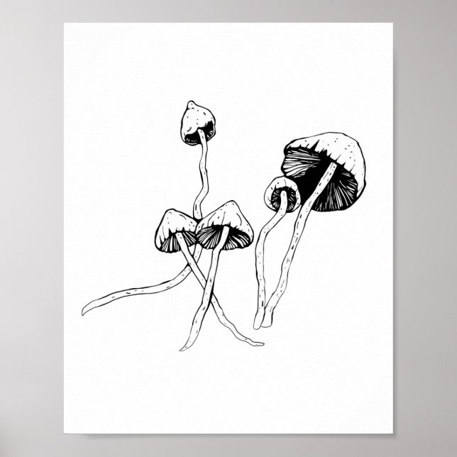 Affiche Champignon de Psilocybin (Devant)