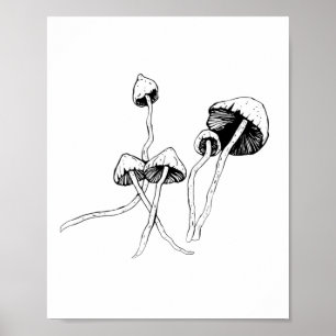 Affiche Champignon de Psilocybin