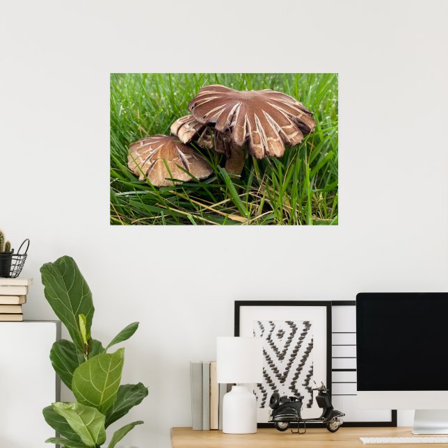Affiche Champignons à capuchon brun (Bureau à domicile)