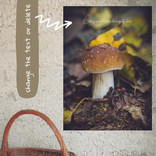 Affiche Champignons Bolete aux feuilles jaunes
