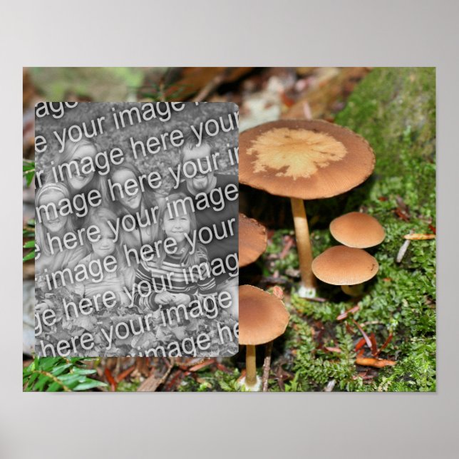 Affiche Champignons Brown sauvages Ajouter votre photo (Devant)