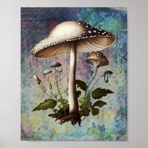 Affiche Champignons, Champignons Vintages numériques