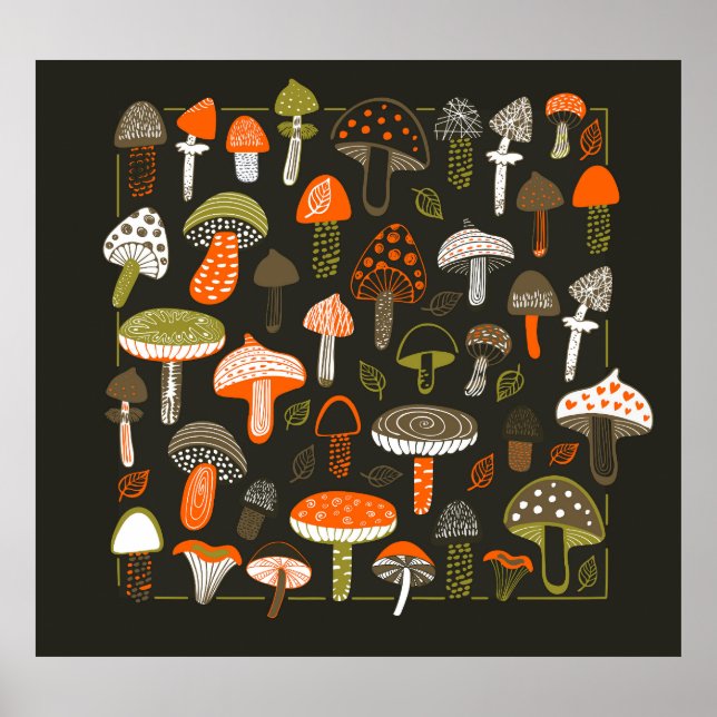 Affiche Champignons colorés : Collection de fées (Devant)