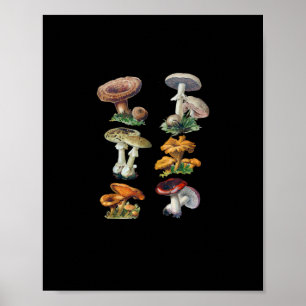 Affiche Champignons Cottagecore Goblincore Esthétique Cham