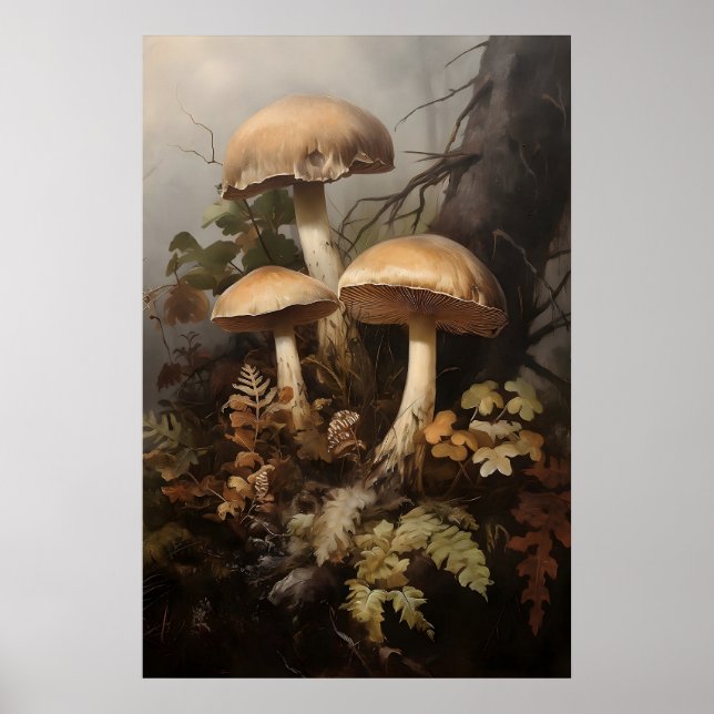 Affiche Champignons dans la fougère de mousse, champignons (Devant)