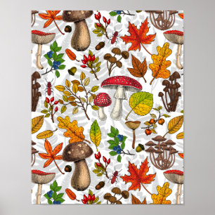 Affiche Champignons d'automne, feuilles, noix et baies sur