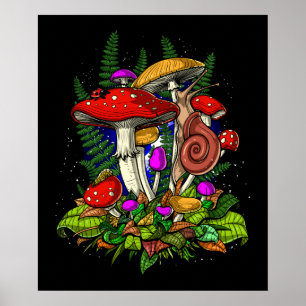 Affiche Champignons de champignons magiques