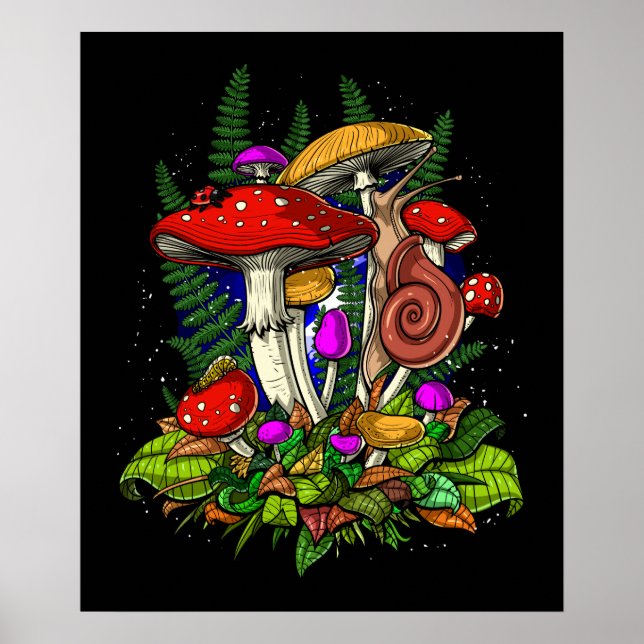 Affiche Champignons de champignons magiques (Devant)