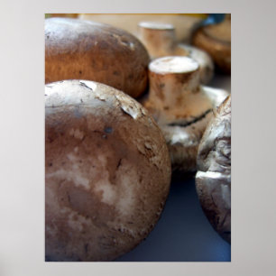 Affiche Champignons de Crimini