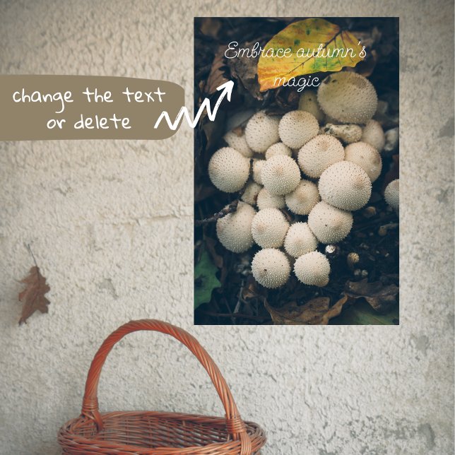 Affiche Champignons de la boule blanche parmi les feuilles (Créateur téléchargé)