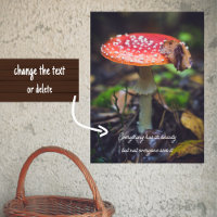 Champignons de l'Agaric de la Mouche rouge dans la