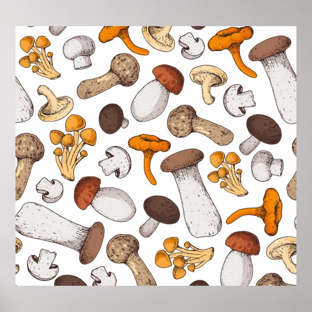 Affiche Champignons dessinés à la main : arrière - plan al (Devant)