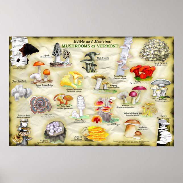 Affiche Champignons du Vermont (Devant)