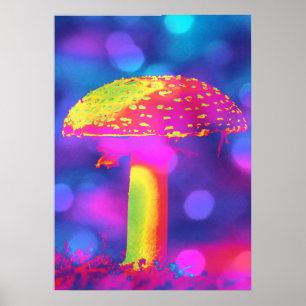Affiche Champignons en lumières