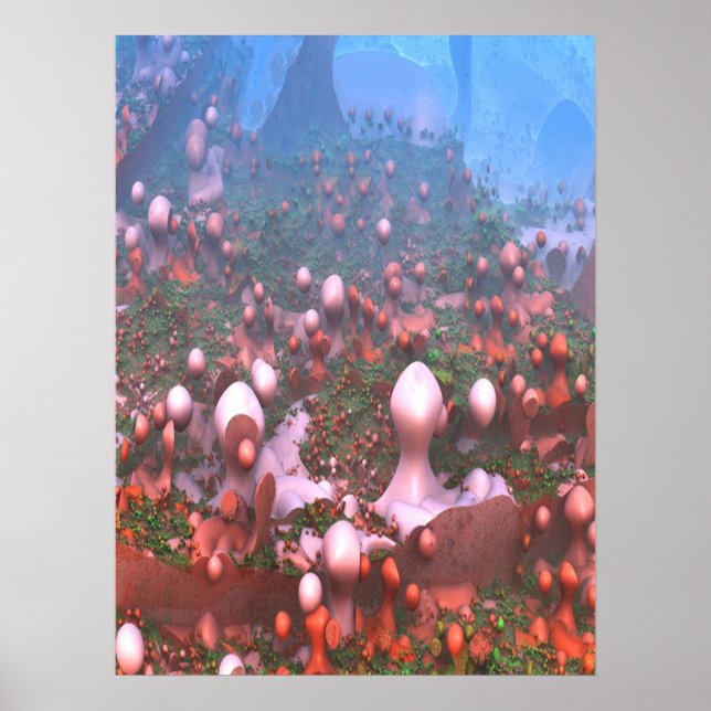 Affiche Champignons magiques (Devant)