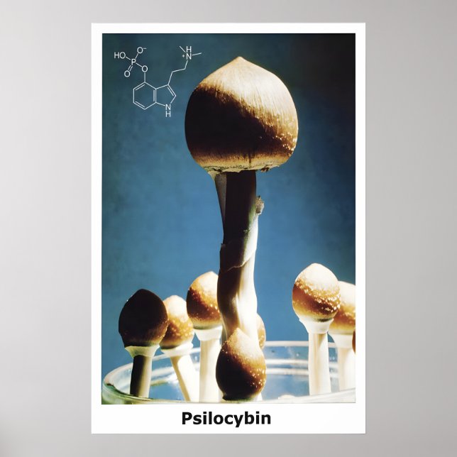 Affiche Champignons Magiques Formule Chimique Psil (Devant)