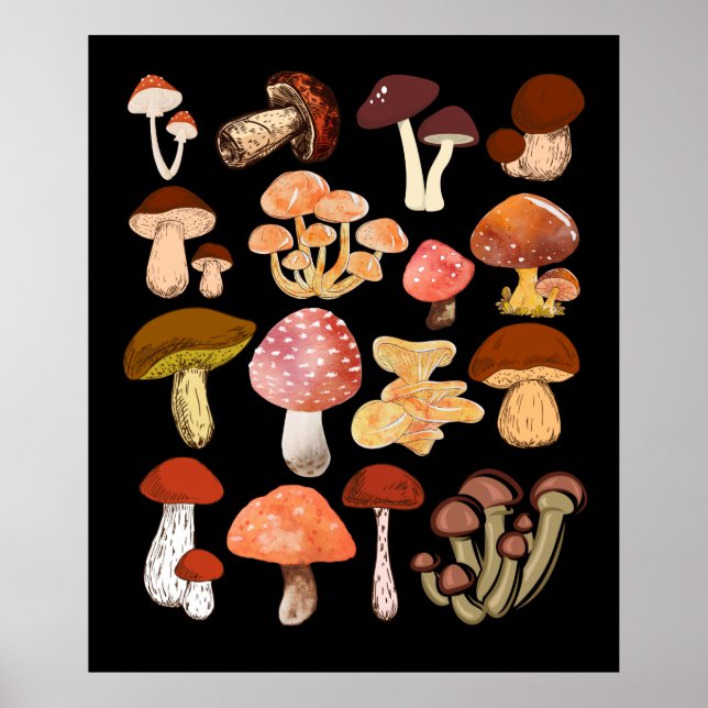 Affiche Champignons Mycologiste de la chasse aux champigno (Devant)