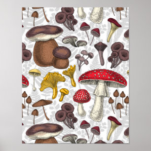 Affiche Champignons sauvages