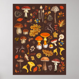 Affiche Champignons sauvages sur brun