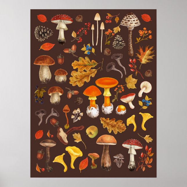 Affiche Champignons sauvages sur fond marron (Devant)