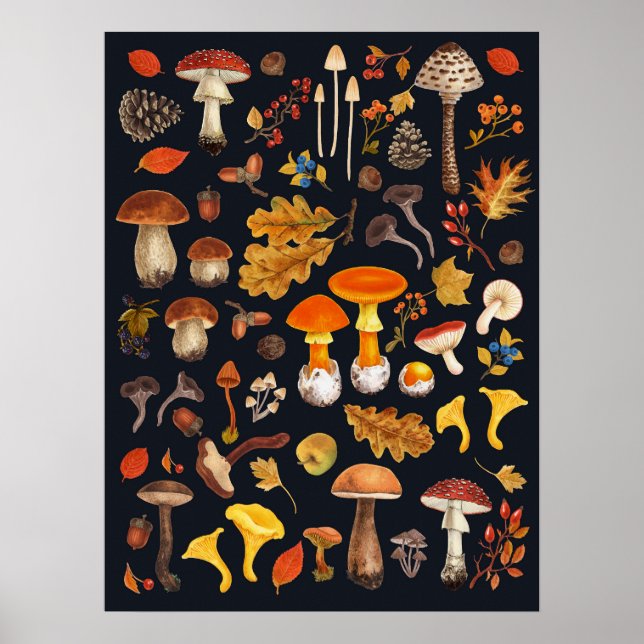 Affiche Champignons sauvages sur fond noir (Devant)