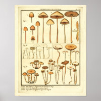 Champignons vintages Casquette Brown Art français 