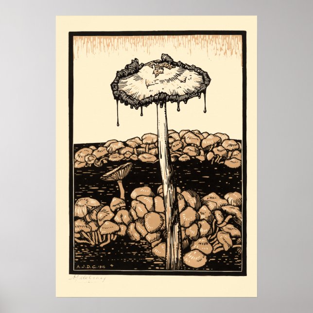Affiche Champignons vintages par Julie de Graag (Devant)
