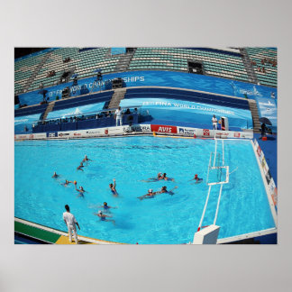 AFFICHE CHAMPIONNAT MONDIAL DE NATATION ROME 2009