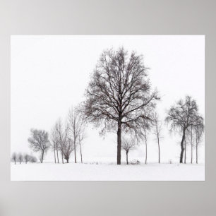 Affiche Champs autour de Scalenghe Piémont, Italie